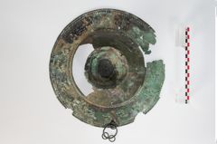 Foto von Bronzebreitrandfußschale (NHMW-PRAE-024138)